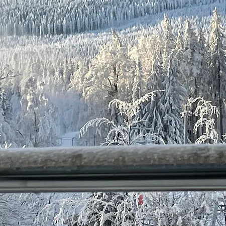 Roma Przy Wyciagu Na Szrenice Δωμάτια σε οικογενειακή κατοικία Szklarska Poręba